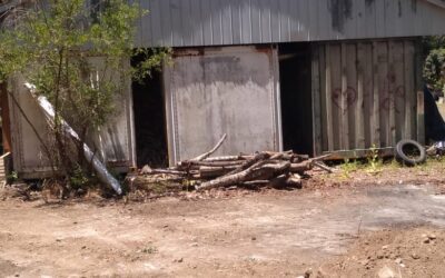 Declaración por excavaciones y remoción de tierras al interior de la  Colonia Dignidad