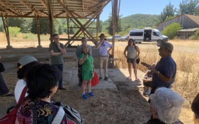 Memoria de futuro: Debates y desafíos en torno al Sitio de Memoria Colonia Dignidad